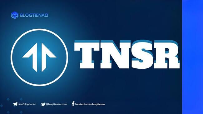Tensor (TNSR) là gì? Dự án NFT marketplace đáng chú ý trên Solana