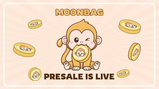 MoonBag Presale Sets Investors Buzzing – Avalanche and Polygon Face Challenges