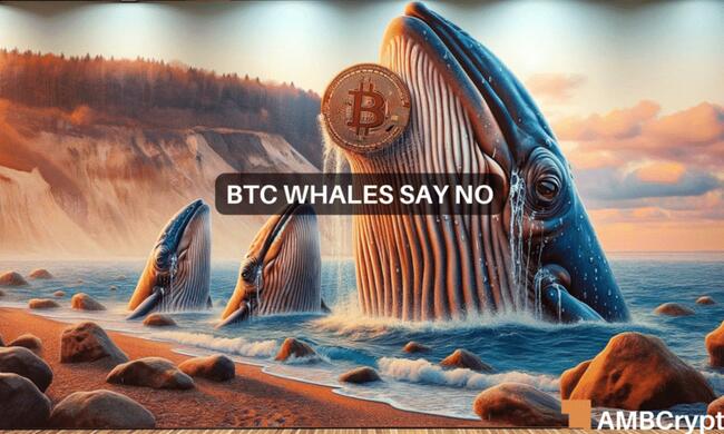 Whale Watch: esto es lo que están haciendo los grandes jugadores de Bitcoin esta semana