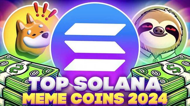 Die besten Solana Meme Coins 2024