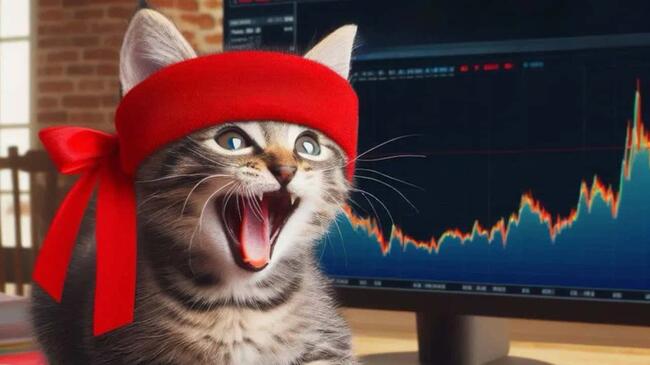 解析 Roaring Kitty「帶貨」效應：3 天湧現 200 個迷因幣，九成以上無人交易