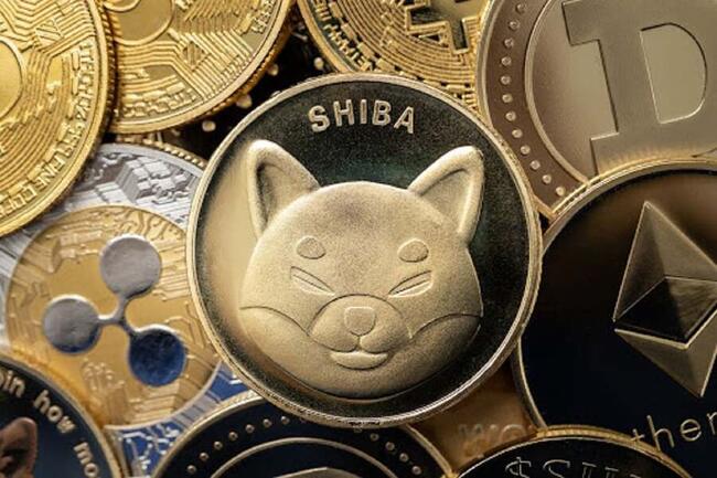 Dieser Shiba Inu (SHIB) Rivale könnte die nächste Meme-Münze sein, die explodiert – hier ist der Grund