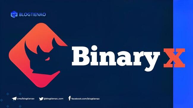 BinaryX (BNX) là gì? Tổng quan dự án tiền điện tử BNX