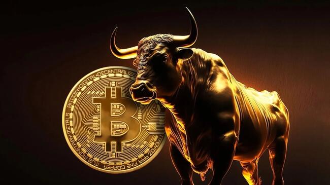 CryptoQuant：比特幣目前位於「牛市中期」，減半行情還沒飆！明年4月才結束