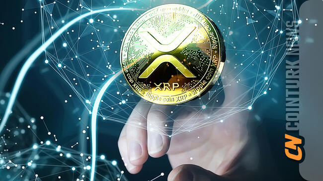 XRP Coin Gains Attention with New Report
