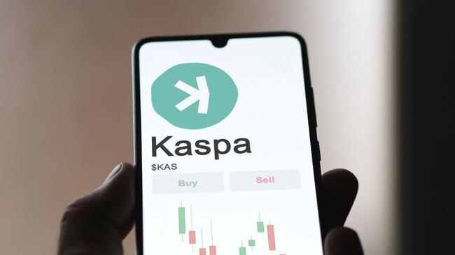 Why Kaspa, Akash Network and KangaMoon Are Keeping Traders Hopeful
