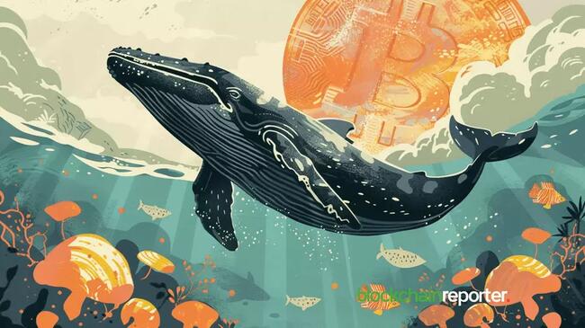 Bitcoin Whale Makes $106.8M Purchase as Market Sentiment Turns Bullish