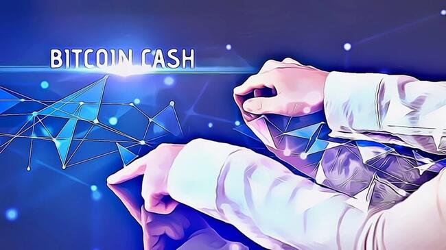 BITCOIN CASH PRICE ANALYSIS & PREDICTION (May 19) – BCH Faces Resistance After A Week Bounce, Can It Scale Through?