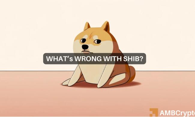Shiba Inu: Las transacciones de Shibarium disminuyen enormemente: ¿Afectará a SHIB?