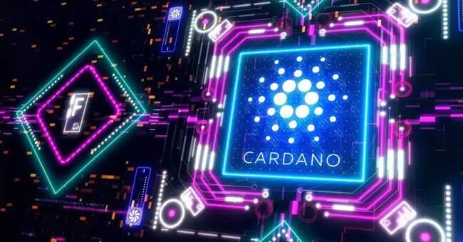 Hoạt động trên Cardano Network tăng đáng kể