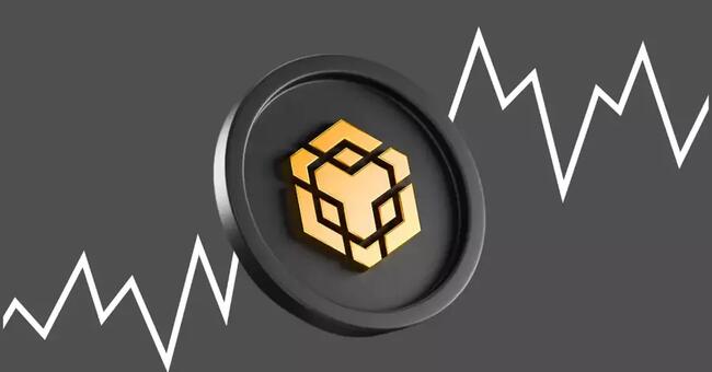 Binance Announces Strategic Shift to Support Small and Medium Crypto Projects