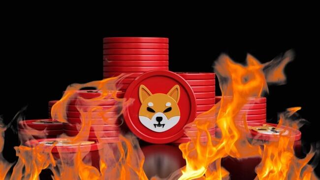 Bữa tiệc đốt Shiba Inu: 410 nghìn tỷ token đã biến mất