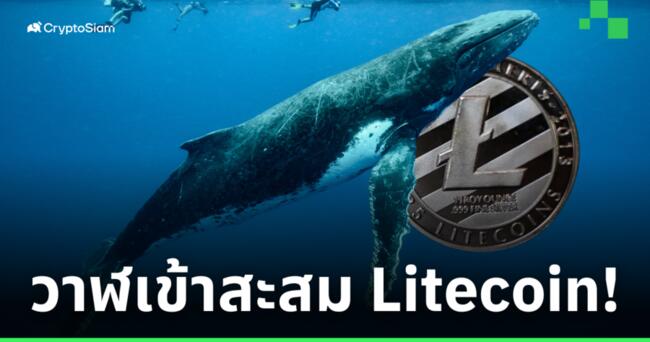 รายงานพบ 'วาฬ' เข้าสะสม Litecoin ไปแล้วกว่า 240 ล้านดอลล์