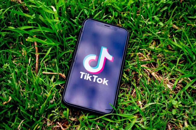 Pembeli TikTok AS Mengincar Desentralisasi, Integrasi Polkadot untuk Perlindungan Data