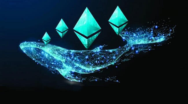 Ethereum Balinalarından Spot ETF Beklentisiyle Rekor Alım!