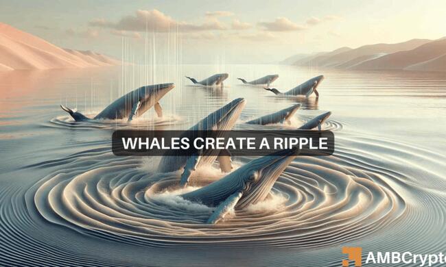 XRP whales acquire 300M+ tokens as altcoin joins rally: What do they know?