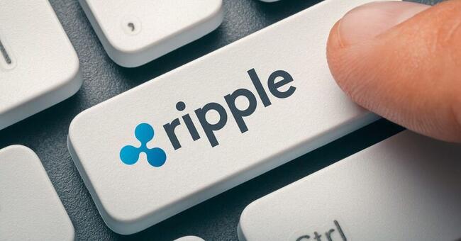 Ripple unterstützt Meta, Kraken und Coinbase bei weltweitem Anlegerschutz