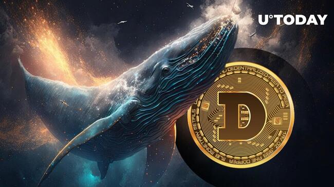 DOGE Skyrockets 100% in Whale Transactions Amid Dogecoin ETF Rumors