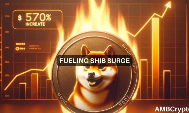 Shiba Inu burn rate explodes 570% – Will prices follow suit?