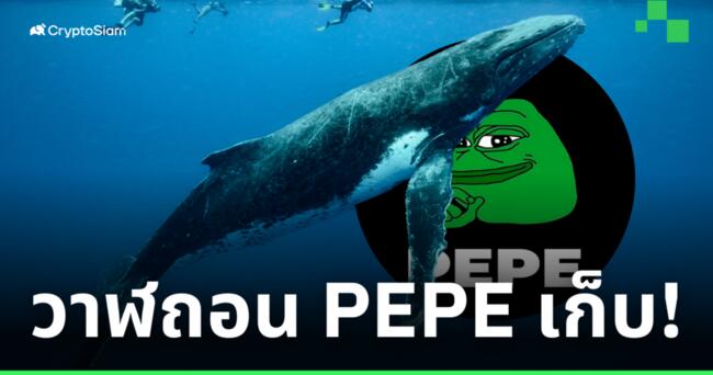 Lookonchain พบวาฬโยก PEPE กว่า 8 ล้านดอลล์ ออกจาก Binance