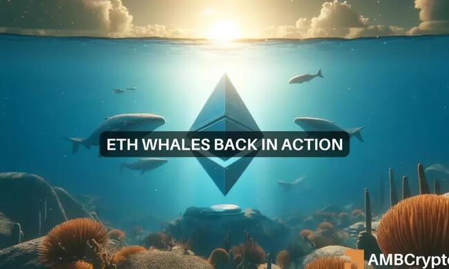 Ethereum alcanza los 3,700 dólares mientras las ballenas se acumulan, pero hay un problema