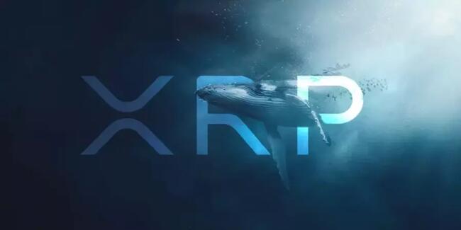 XRP balinasından hamle: Neyi amaçlıyor?
