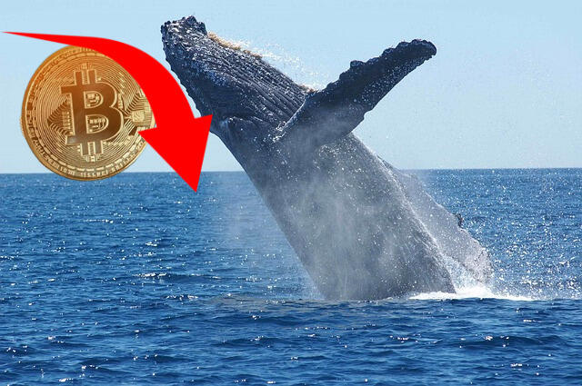 Bitcoin runął! Wieloryb BTC przeniósł 138 mln po 14 latach spoczynku!