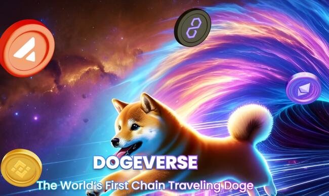 6개 체인 지원 밈코인 도지버스(Dogeverse) 사전 판매 $1500만 돌파