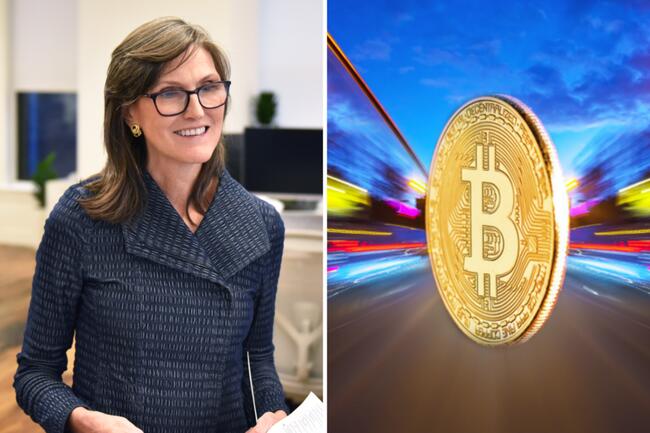 Was Cathie Wood Right About Crypto As An Issue In 2024 White House Race? 'You Can't Be On The Wrong Side Of Young People And Win An Election'