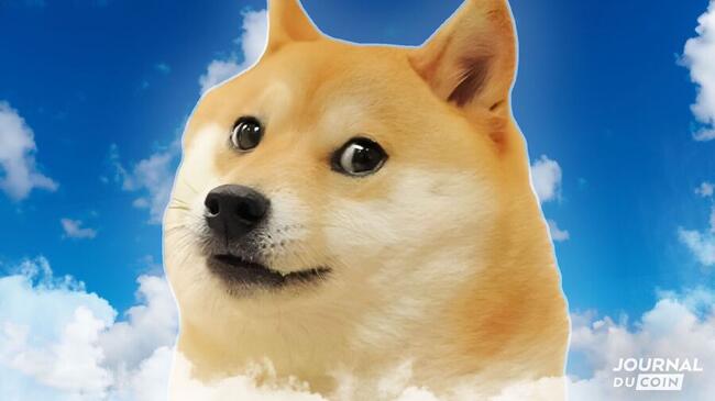 Kabosu, le chien à l’origine du logo de Dogecoin (DOGE), nous a quitté