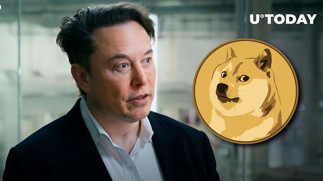 SHIB and DOGE Prices React to Elon Musk Paying Tribute to Kabosu