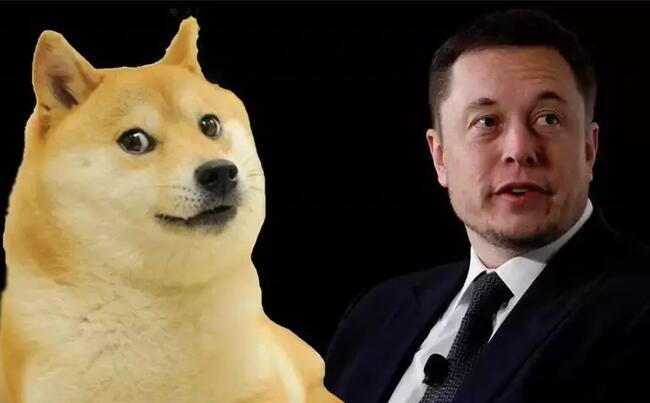 Dogecoin Anısına Elon Musk’ın Paylaşımı Fiyatı Nasıl Etkiledi?