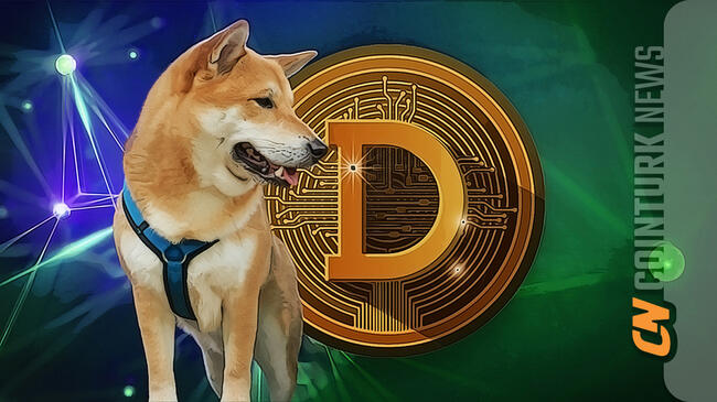 Dogecoin Faces Critical Resistance and Potential Downtrend