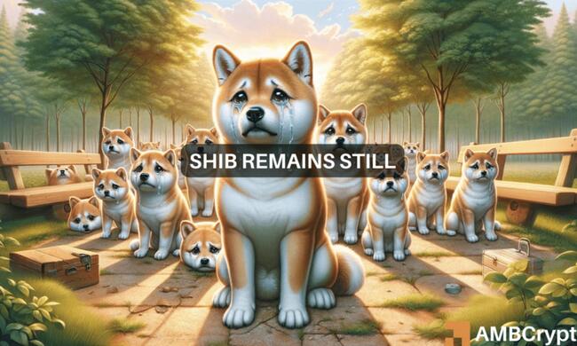 Shiba Inu cae un 10% en un día: ¿qué hay detrás de la caída?