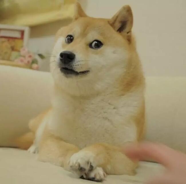 Кабосу, ​​собака, вдохновившая Dogecoin умерла в 18 лет