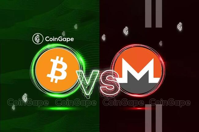 Bitcoin or Monero? Comparative analysis