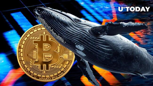 Ancient Bitcoin (BTC) Whales Reawakening: Details