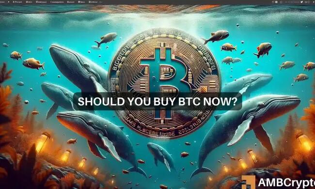 Bitcoin whales’ buying frenzy – What it means for you and your holdings