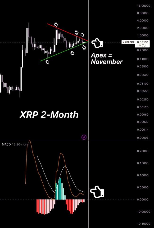 Ripple Analyst Predicts Major Breakout For XRP: Could Reach $66 by Year’s End