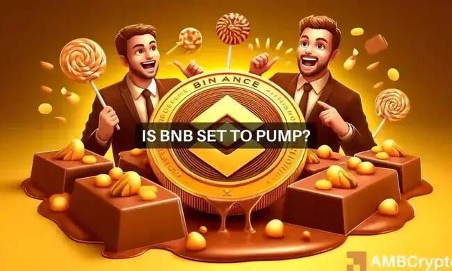 Binance Coin: Why the next 2 weeks will be interesting for BNB