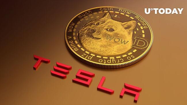Crucial DOGE-Tesla Reminder Issued by Insider: Details