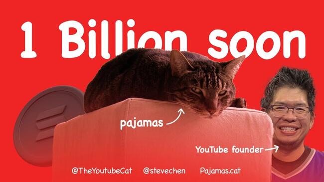 YouTube創辦人陳士駿力挺迷因幣$PAJAMAS，紀念YT首支貓咪影片