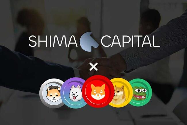 Shima Capital đặt cược vào WOJAK, TRUMP và ba đồng meme khác