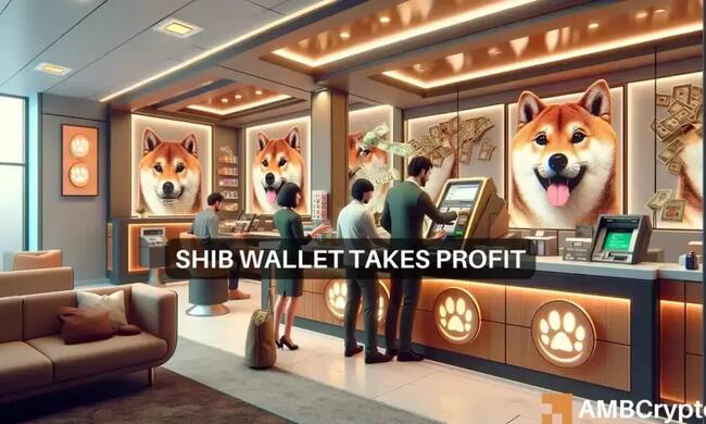 Shiba Inu whale moves 48B tokens; SHIB’s price reacted by…