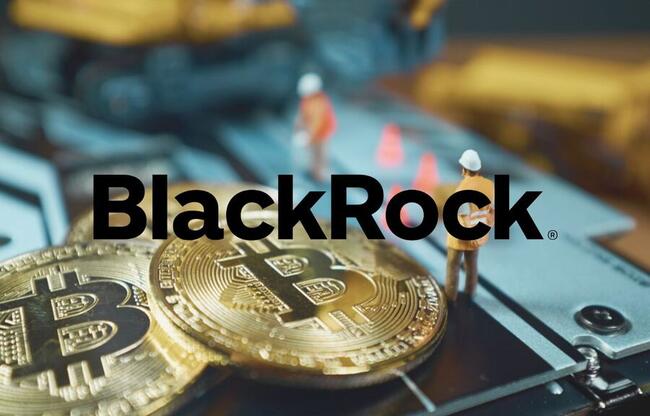 Dos fondos de BlackRock compraron acciones del ETF Bitcoin administrado por la empresa