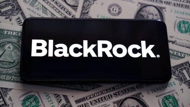 BlackRock มอง Bitcoin เป็นโอกาส! เพิ่ม Bitcoin ETF มูลค่า 4.1 ล้านดอลลาร์ ลงในกองทุนรายได้และพันธบัตร