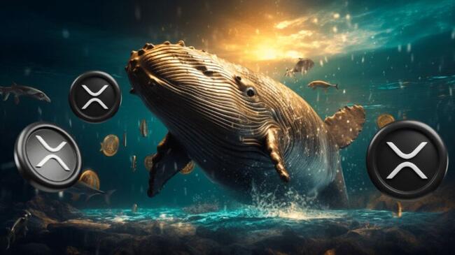 Whale XRP Membuang 50 Juta Token: Pasar Berspekulasi tentang Harga di Masa Depan