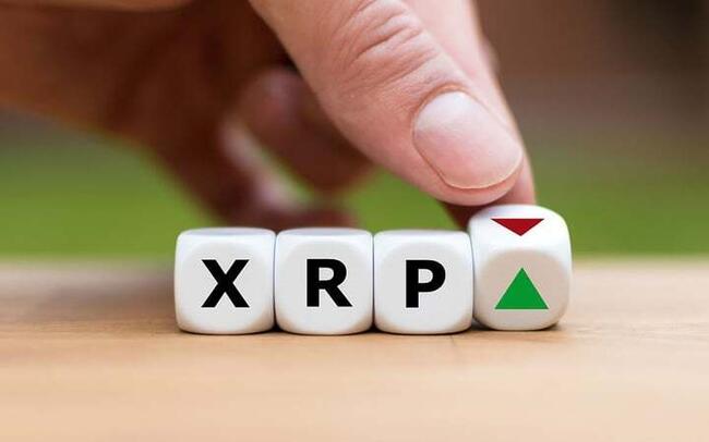 Analyst Claims XRP Would Provide Lowest Returns with Highest Risk
