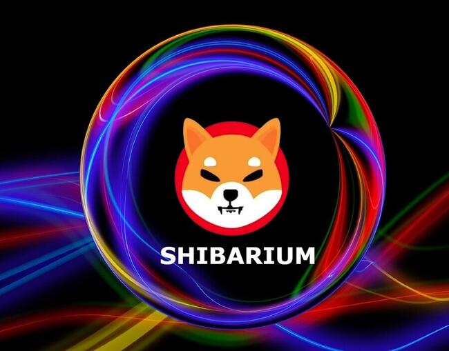 Shibarium TVL Soars 17% Amid Expedited BONE Token Transfers To Ethereum  