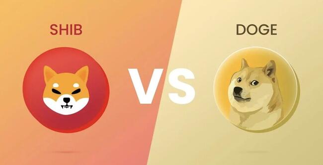 Shiba Inu hoặc Dogecoin: Đồng Meme nào sẽ tăng cao hơn trong tháng 6 này?